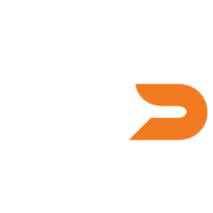 Dss Logo white